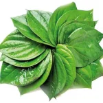 পান ২০ টি