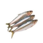 চাপিলা মাছ 500 gm