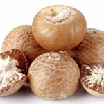 সুপারি-৫০-গ্রাম