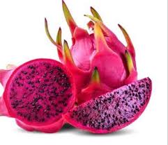 ড্রাগন ফল 1kg